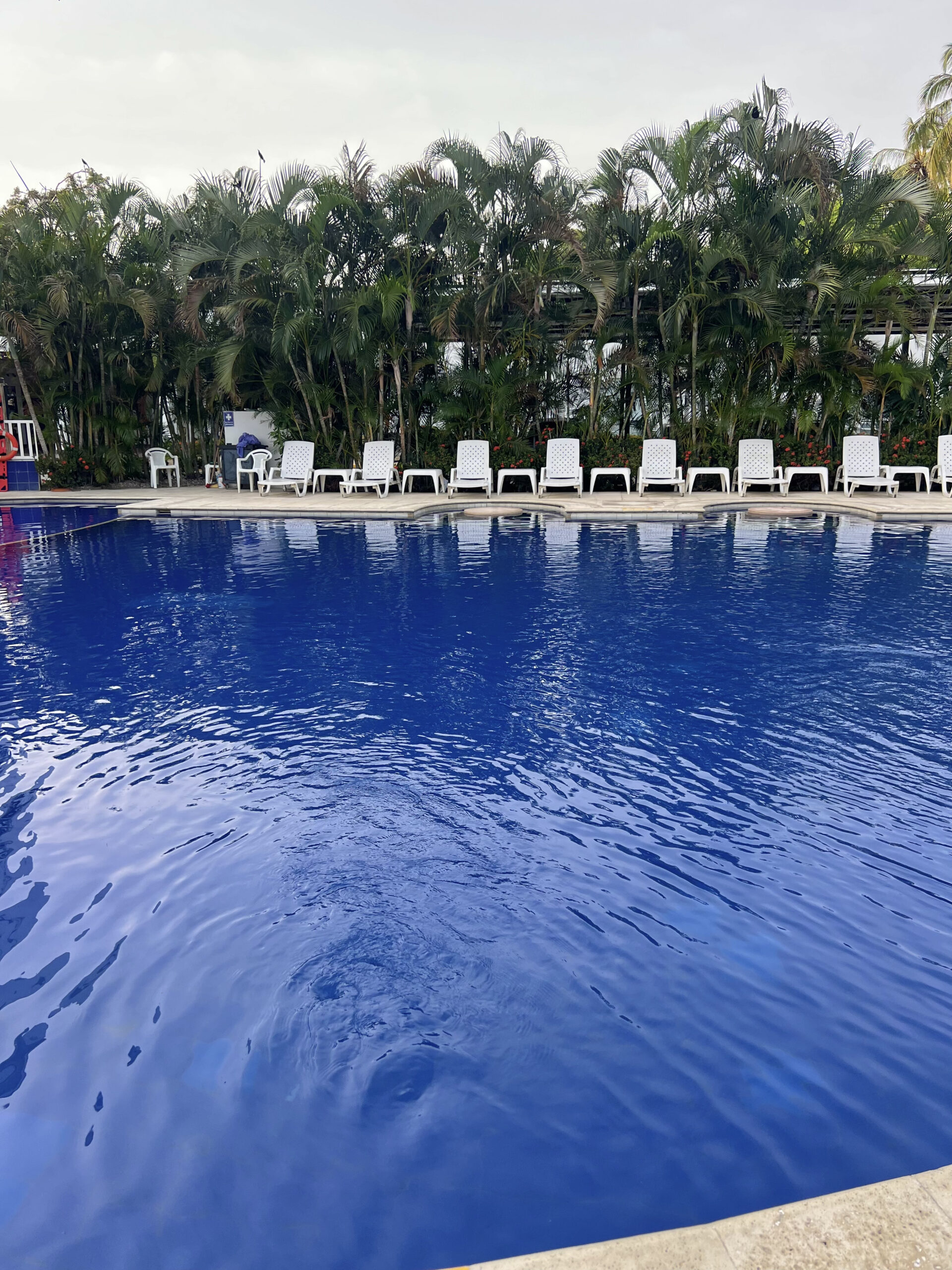SANTA MARTA - Image 3